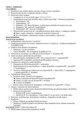 T3. Terpenos.pdf