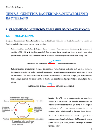 TEMA-3.-GENETICA-BACTERIANA.-METABOLISMO-BACTERIANO-1.pdf