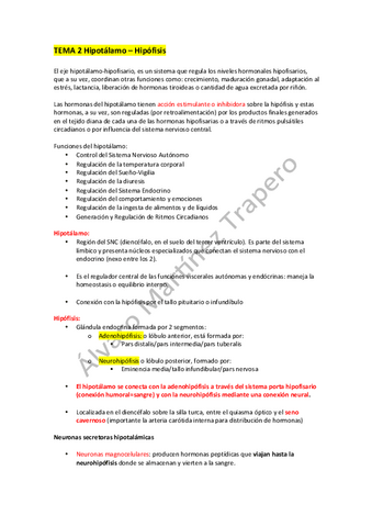 Tema 2 Hipotálamo Hipófisis.pdf