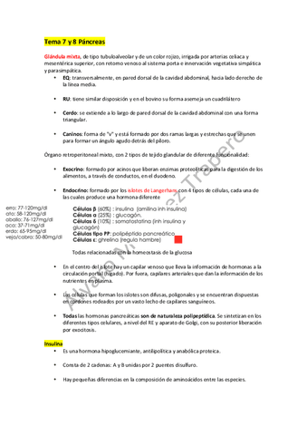 Tema-7-y-8-Pancreas.pdf