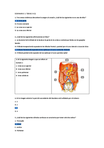SEMINARIO-3-Temas-9-11.pdf