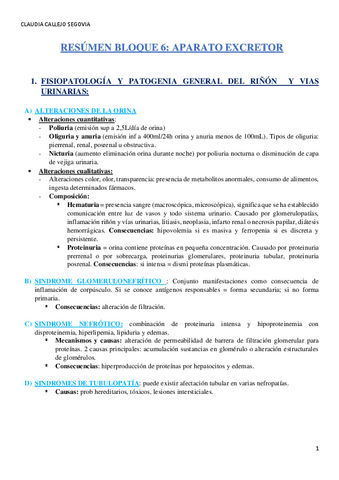 RESUMEN-BLOQUE-6.-APARATO-EXCRETOR.pdf