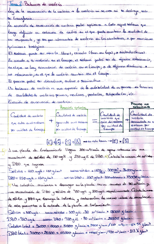 Fundamentos-Temas-2-y-3.pdf