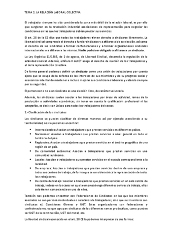 Tema-2La-Relacion-Laboral-Colectiva.pdf