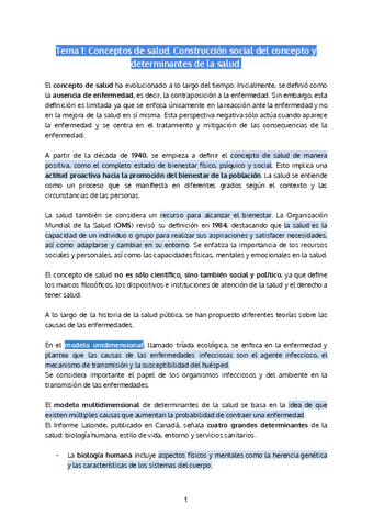 Apuntes-Salud-Completos.pdf