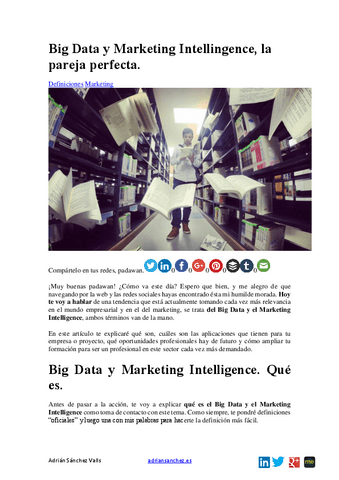 15.-Big-Data-y-Marketing-Intellingence-la-pareja-perfecta.-Articulos.pdf