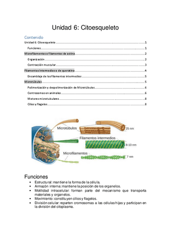 Unidad-6.pdf