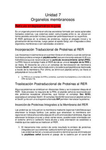 Unidad-7.pdf