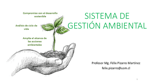 P4-Gestion-Medioambiental.pdf