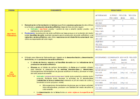 PRUEBAS-BIOQUIMICAS.pdf