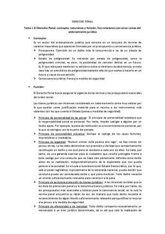 Resumen-Penal-completo-Dolo.pdf