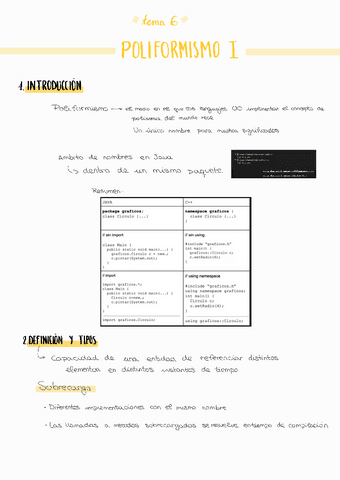 T6-Poliformismo-I-apuntes-P3.pdf