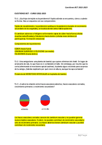 BCT-preguntas-de-examen-resueltas.pdf