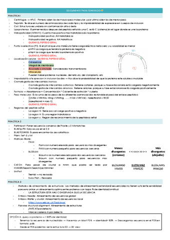 DOCUMENTO-PARA-TONTOS-3.0.docx.pdf