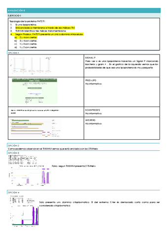 AVALUACION-8-Y-9-.docx.pdf
