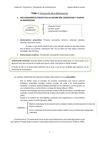 TEMA 1.pdf