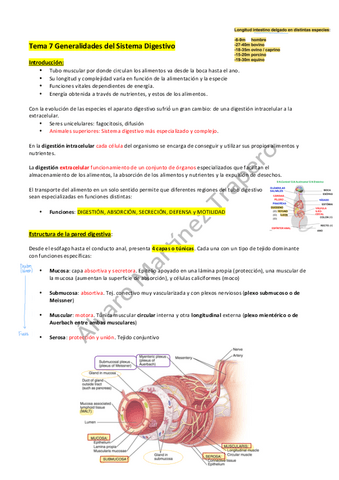 Generalidades-del-Sistema-Digestivo.pdf