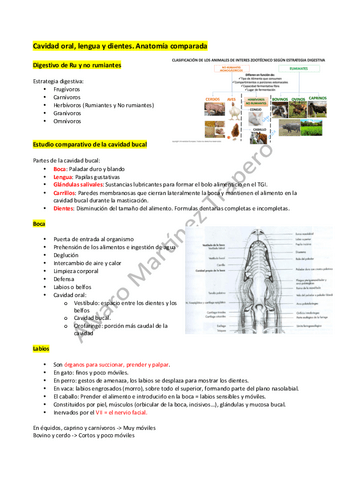 Anatomia-comparada-de-la-Cavidad-oral-lengua-y-dientes.pdf