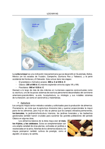 TEMA-3-DE-HISTORIA-DE-AMERICA.pdf