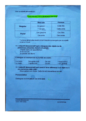 Frances-Tema-59.pdf