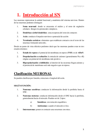 1.-Introduccion-al-SN.pdf