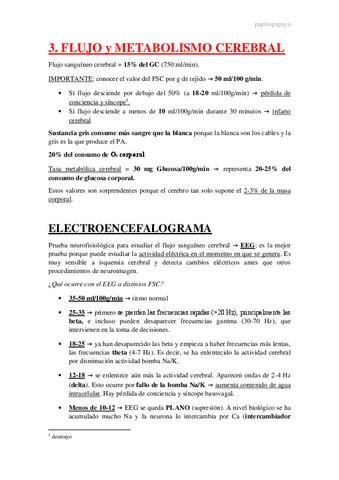 3.-Metabolismo-neuronal.pdf