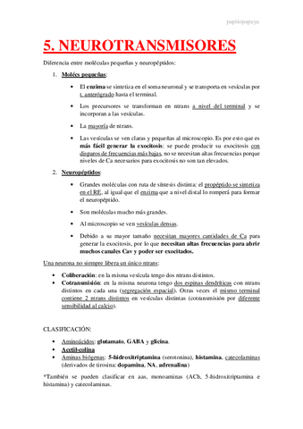 5.-Neurotransmisores.pdf