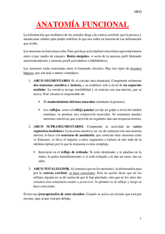 ANATOMIA-FUNCIONAL.pdf