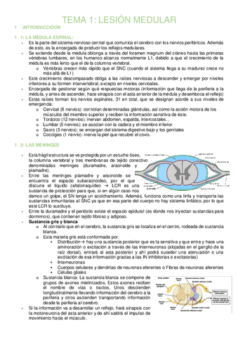 APUNTES-JORGE-MONTERO.pdf