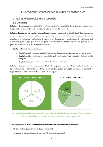 T3-Paradigma-Sostenibilista-Apunts.pdf