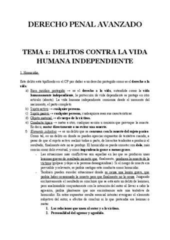 DERECHO-PENAL-AVANZADO.pdf