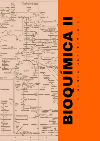 BIOQUIMICA-2-TEMARIO-COMPLETO.pdf