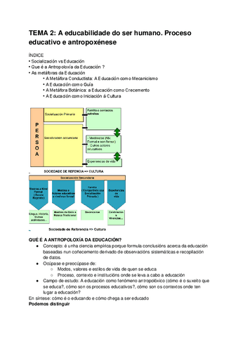 TEMA-2.pdf