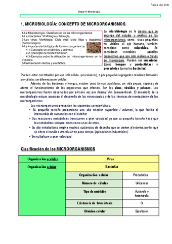 EVAU-resumenes-micro.pdf