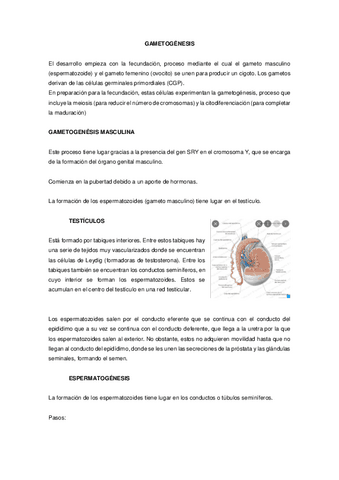 apuntes-embrio.pdf