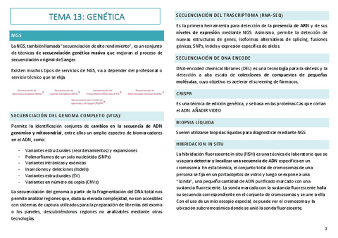 13.-genetica.pdf