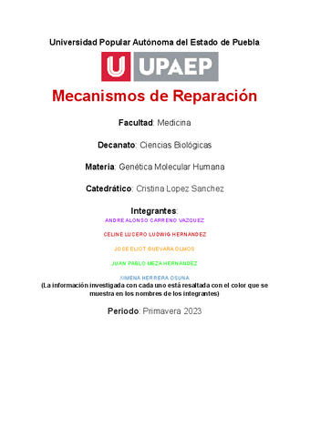 Mecanismos-de-reparacion.pdf