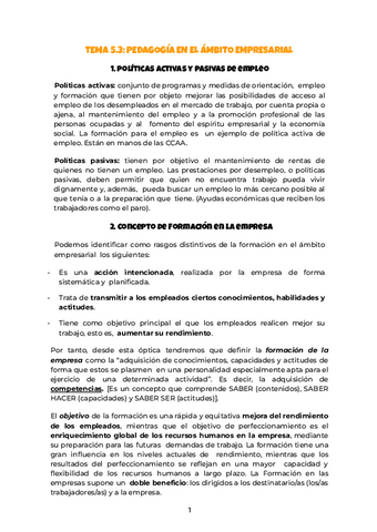 Tema-5.3.-Ambito-empresarial.pdf