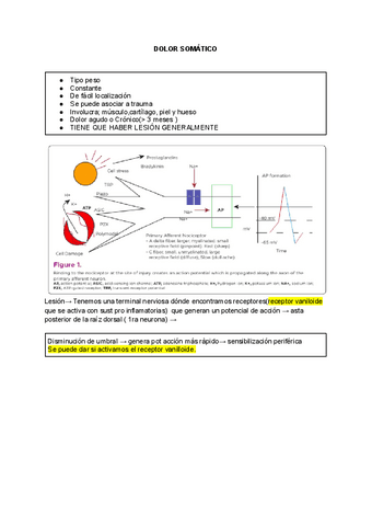 DOLOR-SOMATICO.pdf