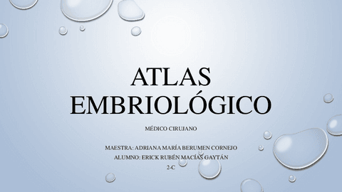 MGER-AtlasEmbriologia.pdf