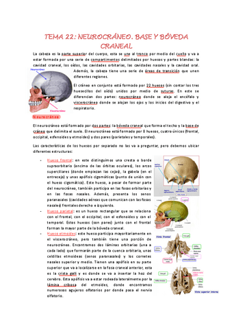 Tema-22.pdf