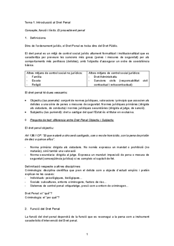 Apunts-penal-socioeconomic-RRLL.pdf