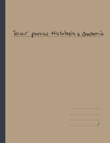 Tercer-Parcial-Histologia-y-Anatomia.pdf