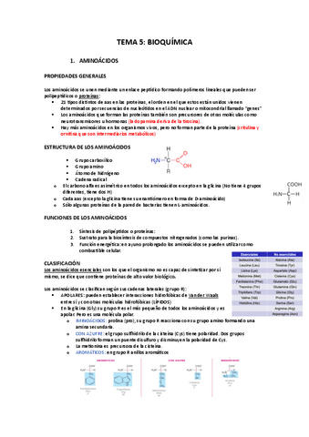TEMA-5-bioquimica.pdf
