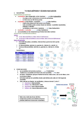 TEMA-4-BIOQUIMICA.pdf