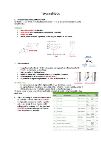 TEMA-3-bioquimica-nuevo.pdf