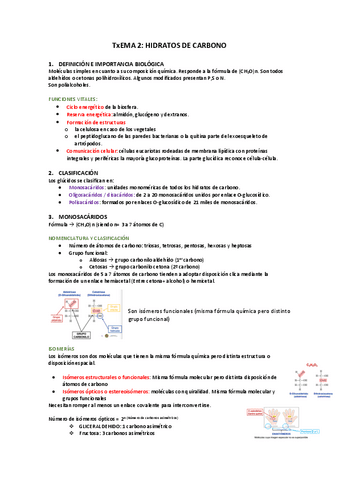 TEMA-2-bioquimica.pdf