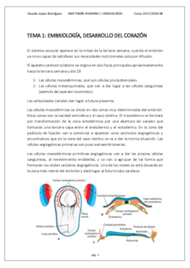 TEMA 1- EMBRIOLOGÍA DEL CORAZÓN.pdf