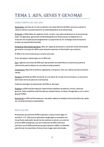 Apuntes-Genetica.pdf