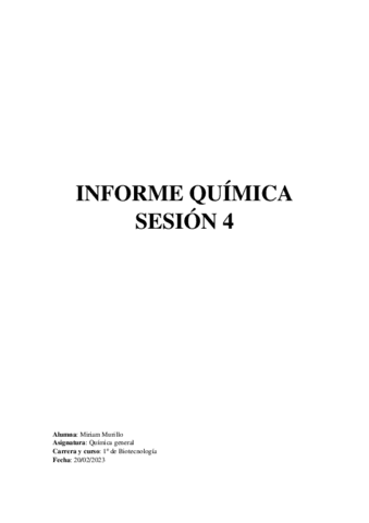 informe-quimica-p4.pdf